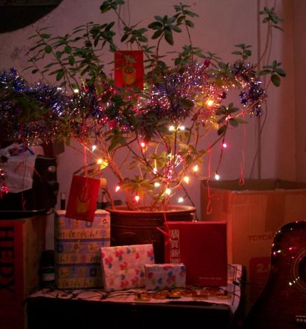 圣誕樹(shù)06