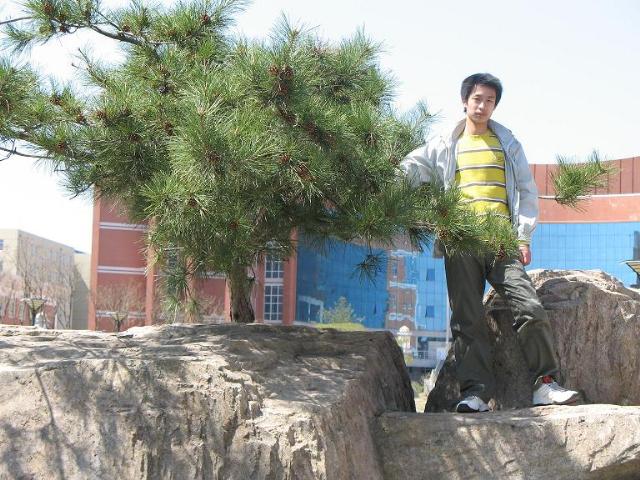 師大的樹