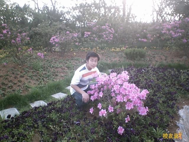 遍地鮮花開得艷