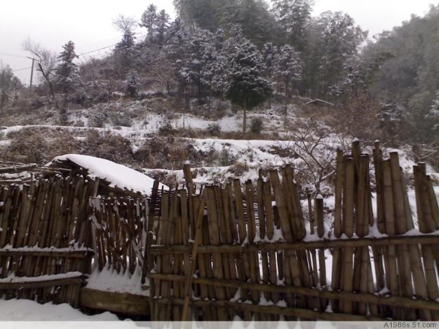 家鄉(xiāng)雪景