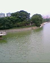 風景照