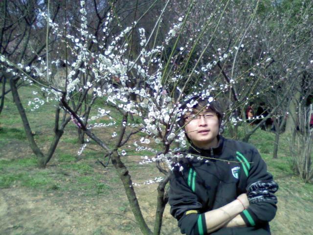 me-梅