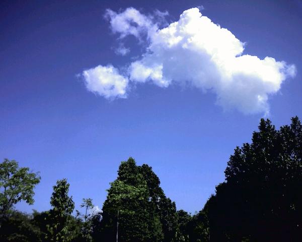 天空很藍 很清澈的感覺