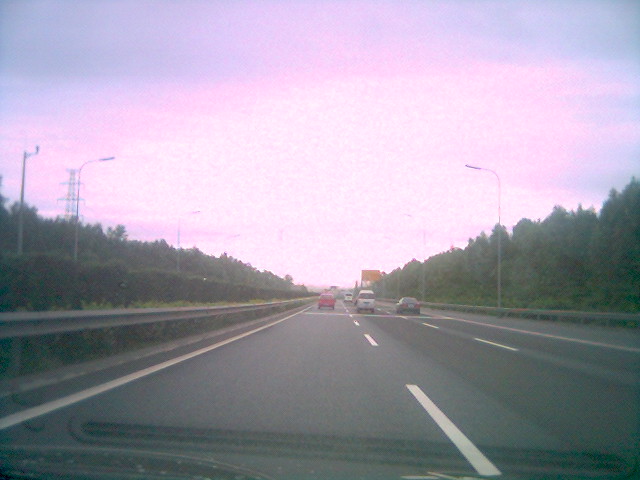 o_0817_070820.jpg