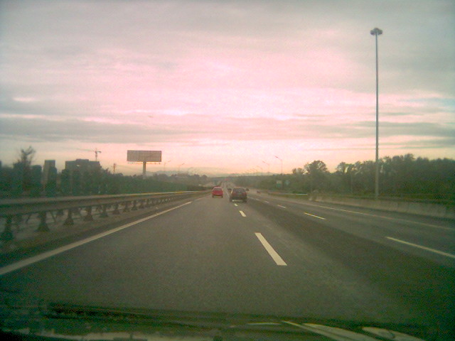 o_0817_071008.jpg