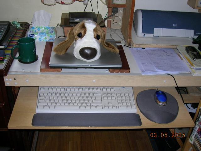 狗狗與Rene的工作臺